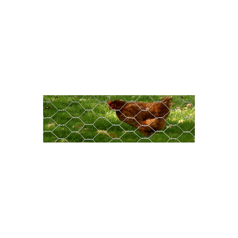 Grillage galvanisé à Poules – Volières – Lapins – M. 25mm – H.1M